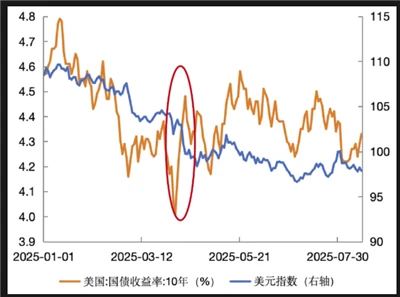 2025年の米ドル動向分析と今後の見通し